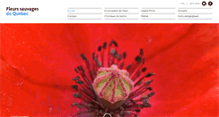 Desktop Screenshot of fleursduquebec.com