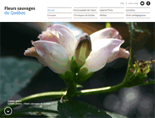 Tablet Screenshot of fleursduquebec.com